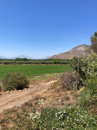 Inversión En Catemu! Parcela Agrícola Terreno 17,9 Hectáreas