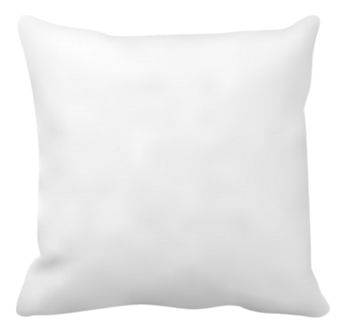 2 Almohadon Blanco 40x40 Para Sublimar O Pintar Con Relleno