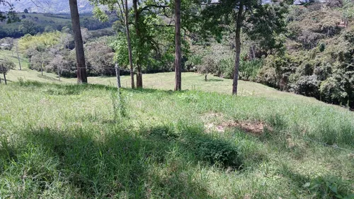 Vendo Finca Ganadera En Restrepo Valle