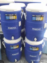 Comprar Termo Cooler Cava Igloo 19 Litros