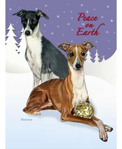 Italian Greyhound Christmas Cards : 10 Holiday Cards Wi...