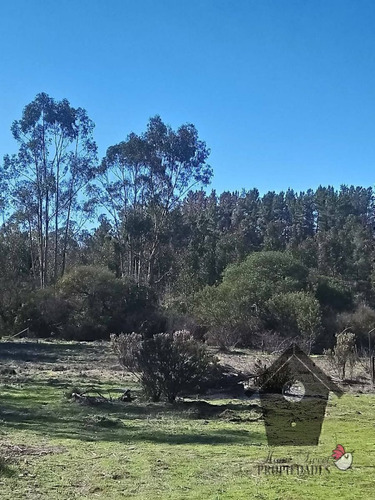 Parcela Camino A Tunquen, Agarrobo, 3.56 Hectáreas