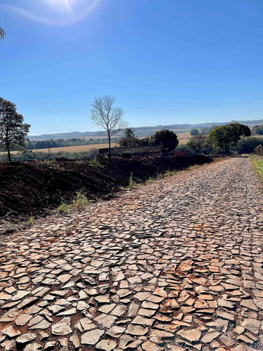 Imagem 5 de 14 de Chácara À Venda