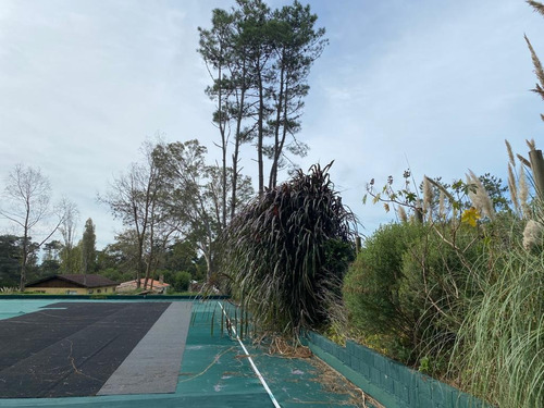 Imagen 3 de 17 de Terreno - Golf
