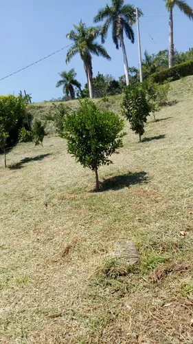 Vendo Hermoso Lote En Conjunto Cerrado En Silvania, Cundinamarca