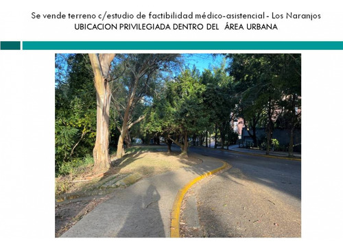 Se Vende Terreno Uso Asistencial 10.529m2 Los Naranjos 2203