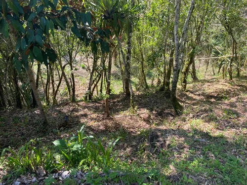 4 Lotes En Venta En El Peñol