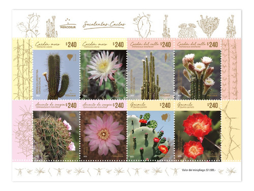 2023 Flora- Suculentas Cactus- Argentina (bloque) Mint