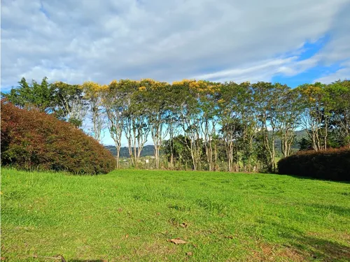 Lote En Venta Sector Alto De Palmas Envigado