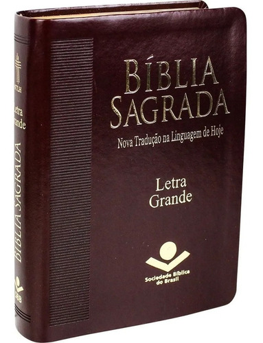 Bíblia Sagrada Letra Grande Linguagem De Hoje 