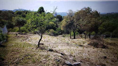 Imagen 6 de 10 de Lote Macrolote 4 Tierra Alta