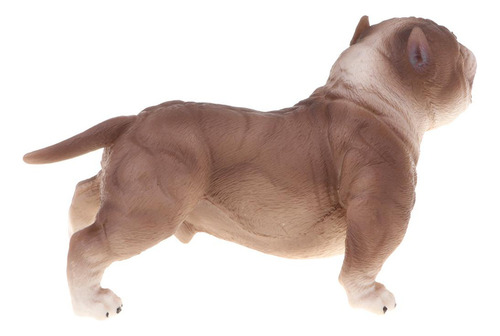 Pitbull Modelo