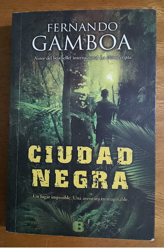 Ciudad Negra Fernando Gamboa  
