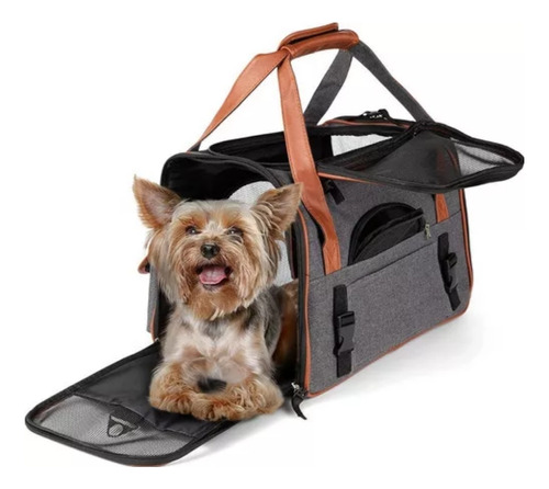 Bolsa para mascotas Bz10, bolsa de lujo para transporte de mascotas para perros y gatos, viajes y excursiones, negra, tamaño mediano