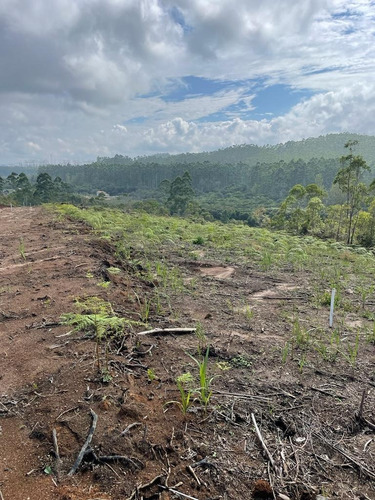 Imagem 4 de 30 de 51- Terrenos Em Mogi Das Cruzes Com Mil Metros