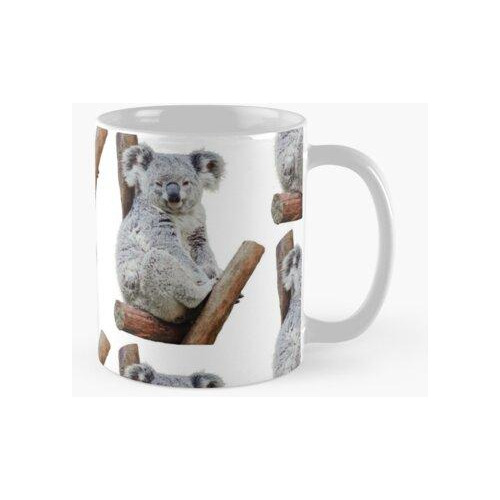 Taza Lindo Koala Sentado En Un Árbol Calidad Premium