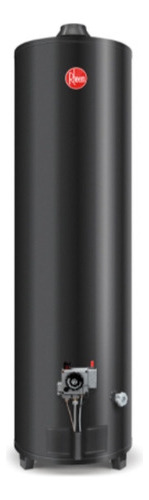 Imagen 2 de 4 de Termotanque a gas natural Rheem AP160 gris oscuro 160L