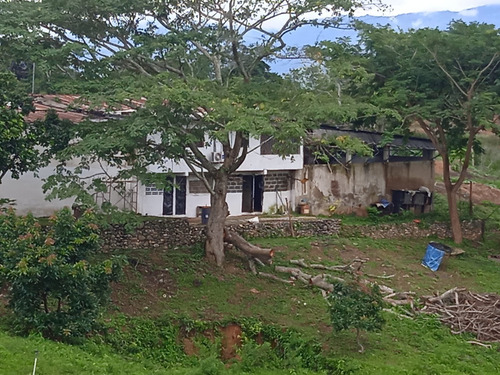 Imagen 7 de 25 de Finca Venta Lara Acarigua En Venta (gamelotal) De 251 Hectareas