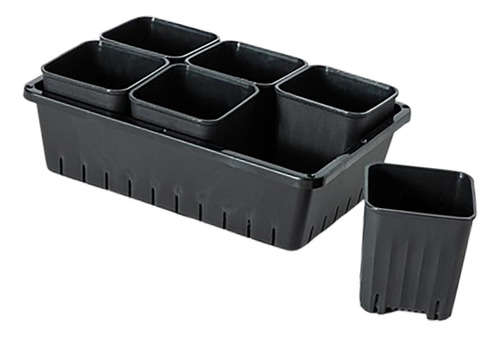 Maceta Para Trasplante De Plántulas, Caja De 6 Rejillas