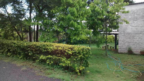 Imagem 9 de 16 de Chácara Com 3 Dorms, Zona Rural, Tambaú - R$ 550.000,00, 8.400m² - Codigo: 10131469 - V10131469
