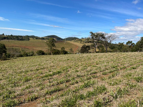 Imagem 13 de 14 de 16- Excelentes Terrenos De 1000m A Venda Em Igaratá