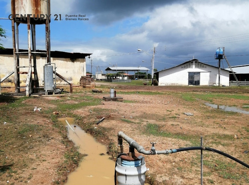 Imagen 10 de 17 de Se Vende Granja Avicola Para Inversionistas En Cantaura - Edo Anzoategui