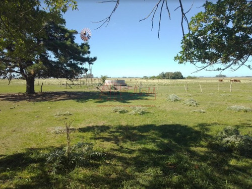 Imagen 8 de 15 de Venta,de Importante Campo En Roberto. J. Payro, Partido De Magdalena.