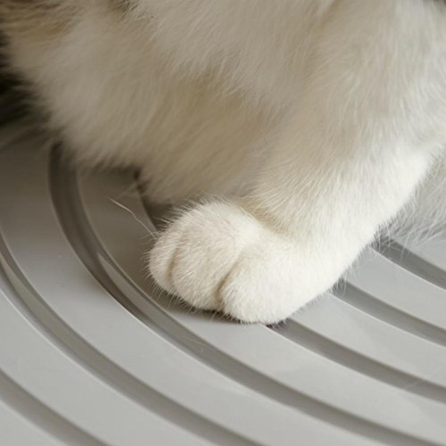 Ris Caja De Arena Para Gatos De Entrada Superior Con