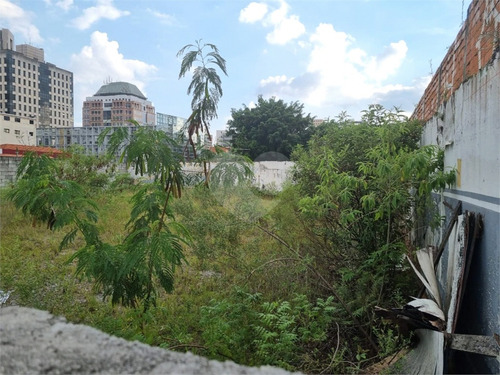 Imagem 3 de 15 de Terreno Chacara Santo Antonio - Reo651595