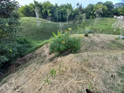 Chale 20min De Circasia Quindio Colombia Con Apartaestudio