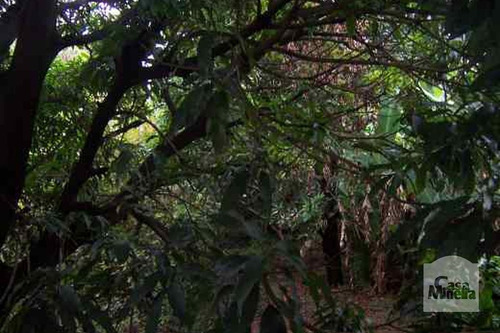 Imagem 15 de 15 de Casa À Venda No Cinqüentenário - Código 114097 - 114097