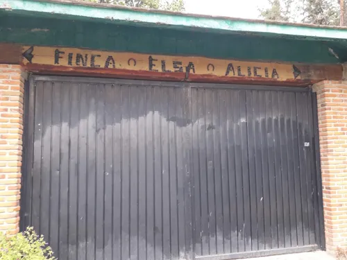 Finca Elsa Alicia (precio A Tratar)