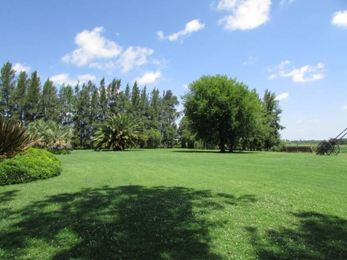 Venta Campo De 58hs Con Casco Moderno En Lobos
