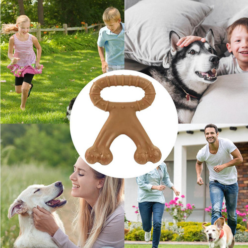 Juguetes Para El Hueso De La Dentición Juguetes Para Perros