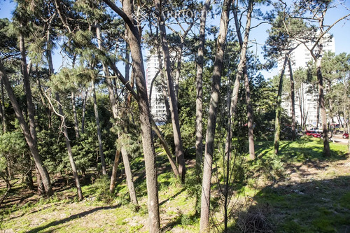 Apartamento En Venta En Avenue Roosevelt, 2 Dormitorios, Bajos Gastos Comunes