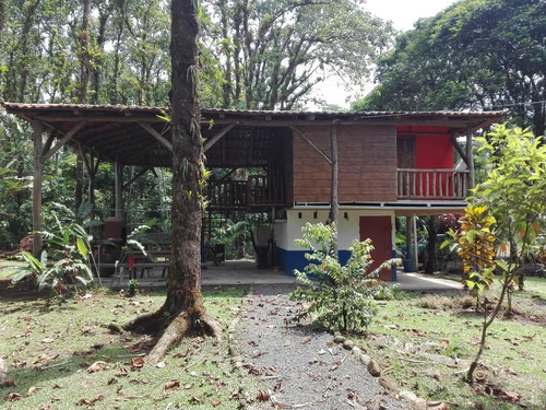 Imagen 11 de 14 de Quinta (3.2ha) Cabaña, Piscina Con Deck, Rancho Y Cabinas.