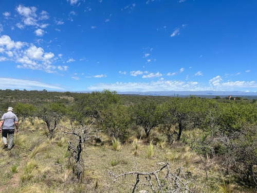 Venta Campo Villa Quillinzo (40 Hectareas) Ideal Para Loteo