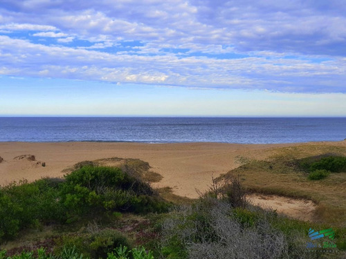 Imagen 10 de 11 de Venta Terreno Primera Linea Playa Mansa - Punta Del Este Mansa