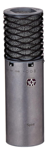 Micrófono De Condensador Aston Microphones Origin, Grande