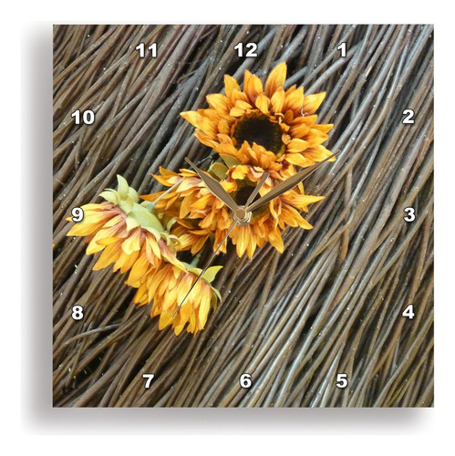 3drose Dpp__1 Girasol Twigs Wall Clock, 10 Por 10 Pulgadas