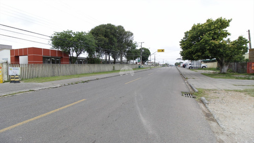Imagem 3 de 10 de Barracão - Comercial - 55019