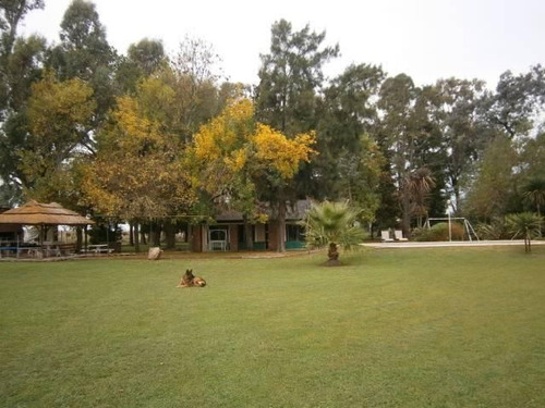 Venta - Casa Quinta Llamada La Deseada De 4 Ambientes