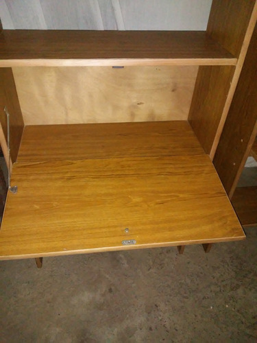Estante De Madera Con Puerta Rebatible (Usado)