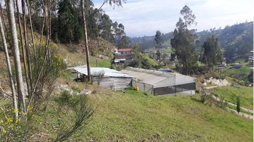 For Sale Peaceful Property & Home In The High Mountains Of Cuenca 