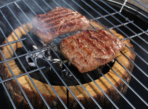 Imagen 3 de 10 de Brasero Ecológico Portatil Ecogrill Carbón Madera Uso Facil