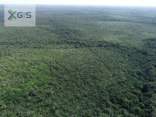 Imagem 6 de 14 de Fazenda À Venda, 2.019,2237 Ha Por R$ 1.600.000 - Br-308 - Mirinzal/ma - Fa0014