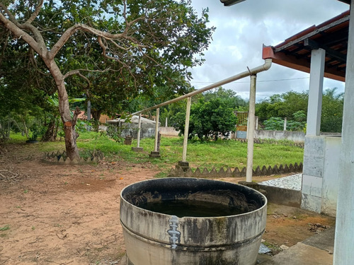 Chácara Com Casa Três Quartos Sala De Estar Cozinha E Dois B