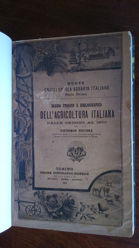 Saggio Storico  Dell´agricoltura Italiana - V. Niccoli 1902