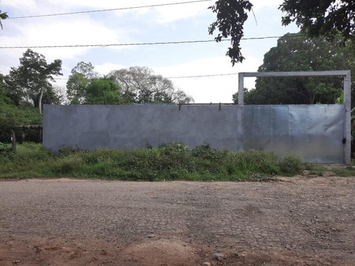 Venta Terreno 1275 M² Col. Cruz Naranjos Tuxpan Veracruz