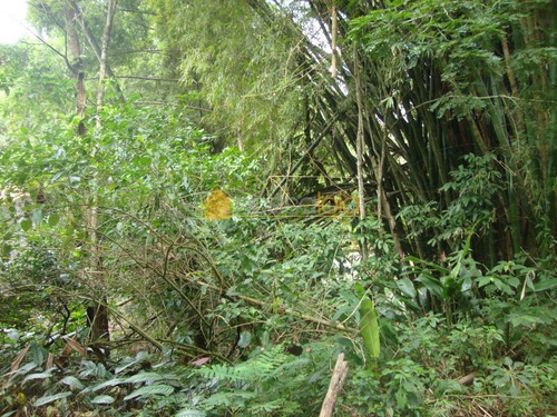Imagem 5 de 5 de Terreno Residencial À Venda, Maria Paula, Niterói. - Te0074